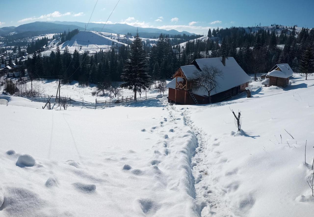 Приватна Садиба "Світлиця Гуцульщини" Vorokhta Exterior photo