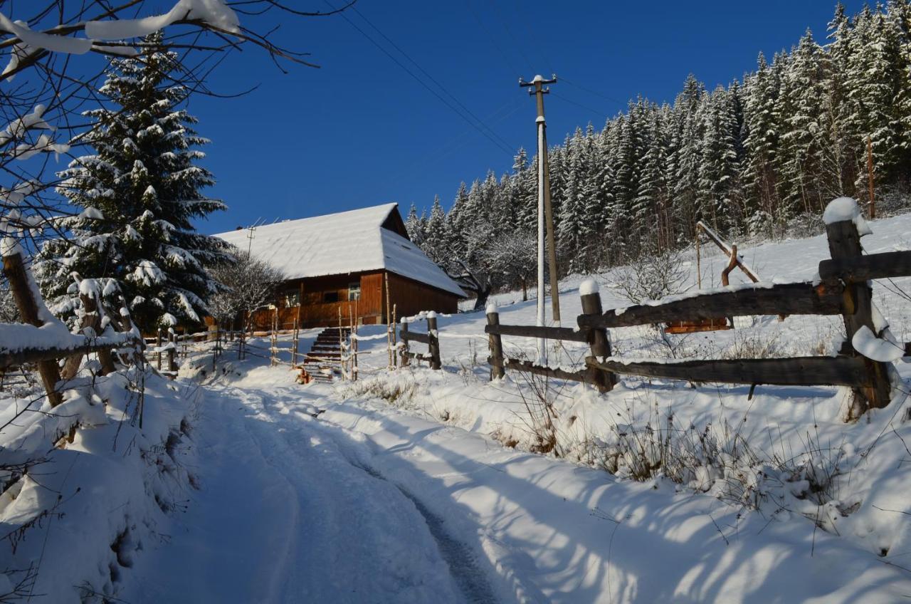 Приватна Садиба "Світлиця Гуцульщини" Vorokhta Exterior photo